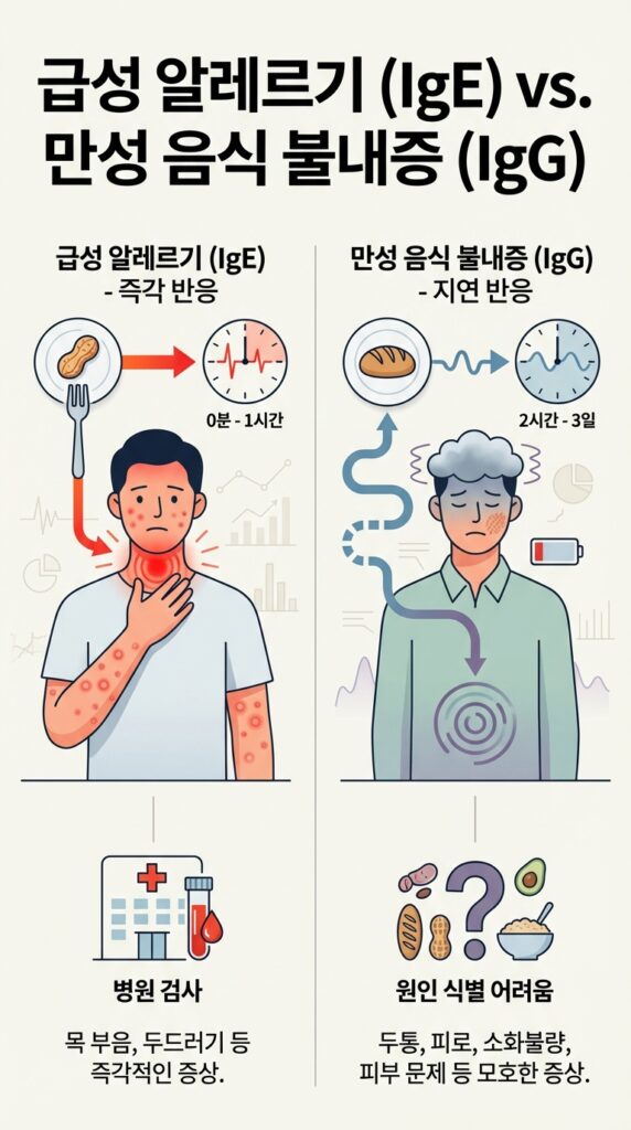 급성 알레르기(IgE)
음식물 과민증(IgG)