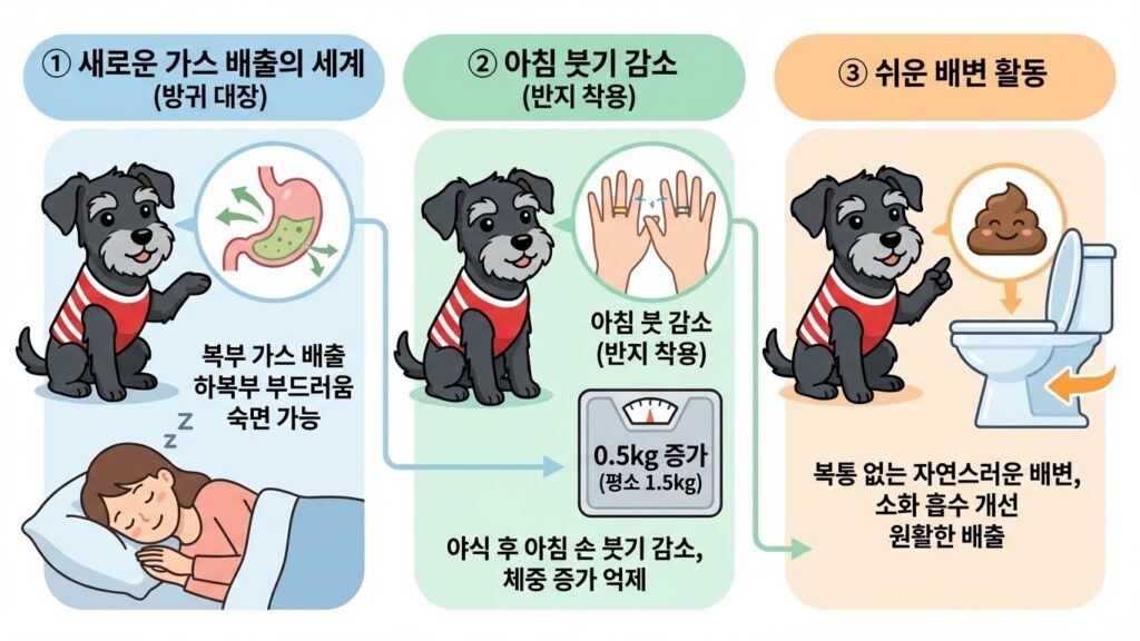 야식 먹고 다음 날 1kg도 안 찐 비결: 소화효소 내돈내산 2주 다이어트 효과와 진실 (붓기, 변비) 5 소화효소