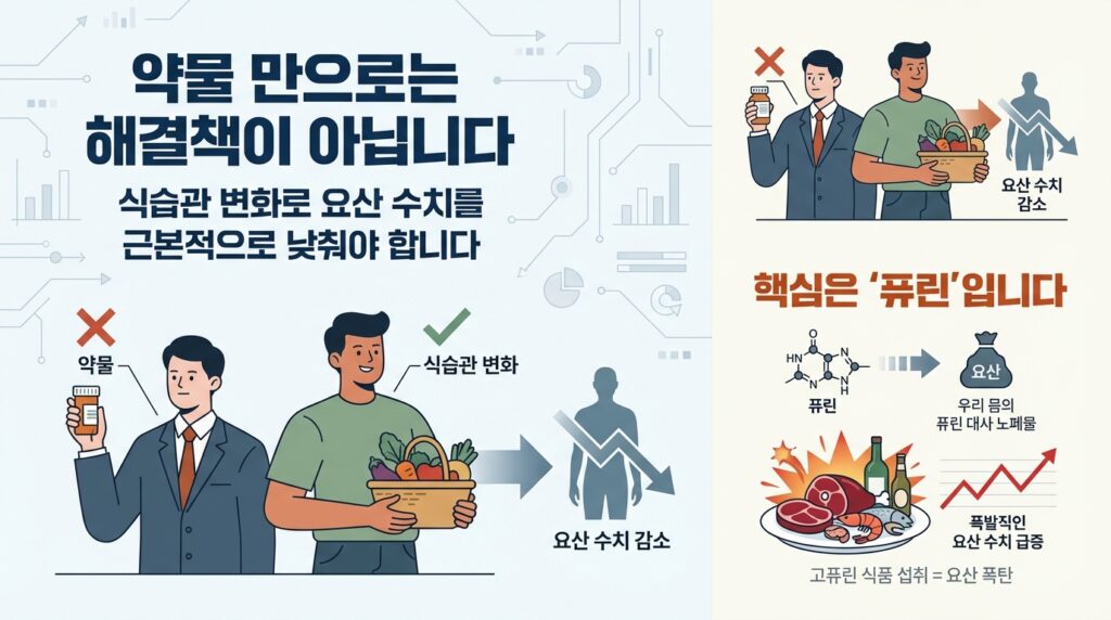 요산 수치 높이는 퓨린