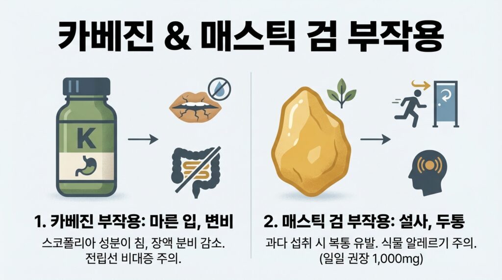 카베진 매스틱검 부작용