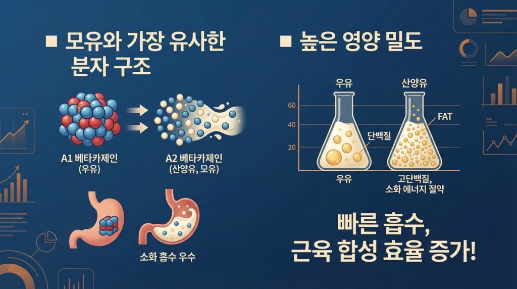 산양유 단백질을 선택해야하는 이유